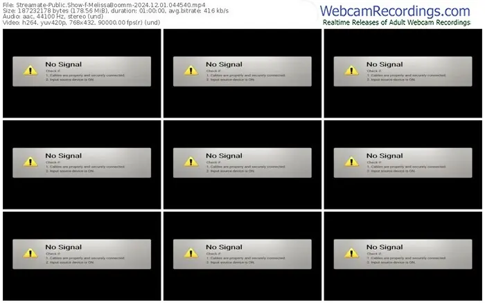 2024/12/01/streamate-melissaboomm-04-45-40