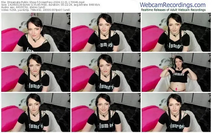 2024/12/01/streamate-oceanfoxy-17-06-46