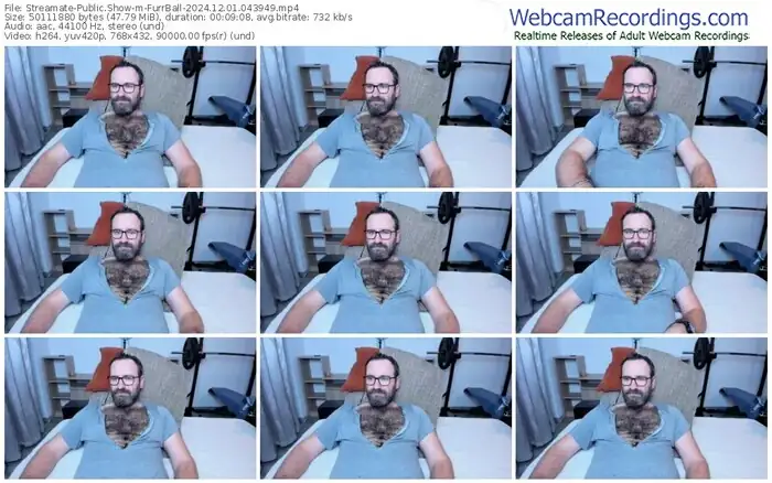 2024/12/01/streamate-furrball-04-39-49