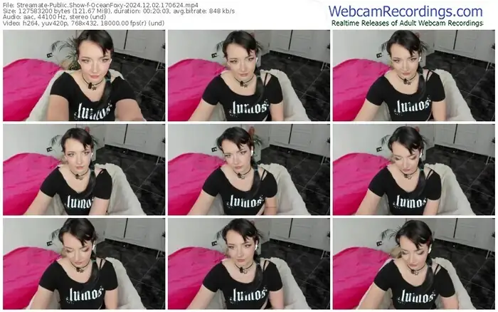 2024/12/02/streamate-oceanfoxy-17-06-24