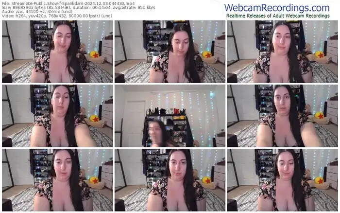 2024/12/03/streamate-spankdani-04-44-30