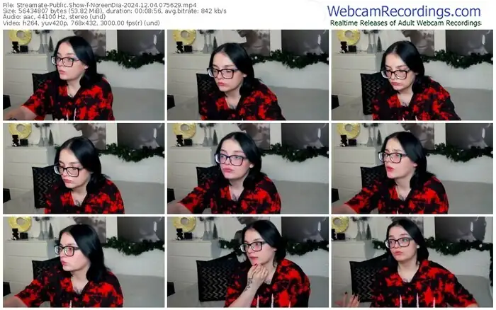 2024/12/04/streamate-noreendia-07-56-29