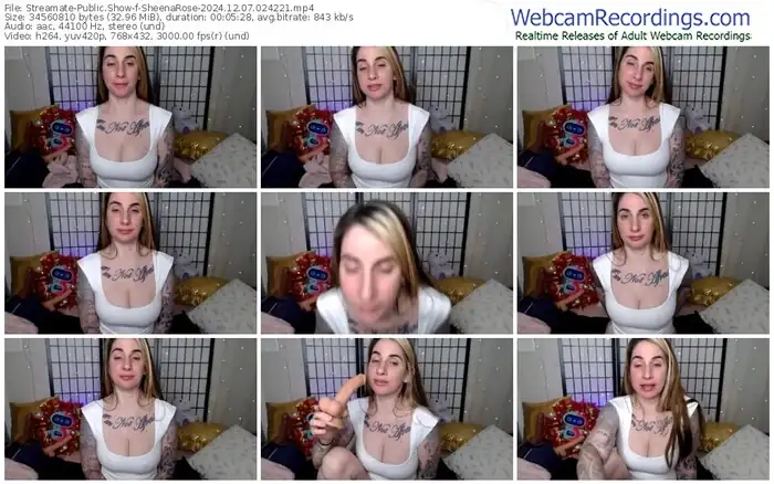 2024/12/07/streamate-sheenarose-02-42-21