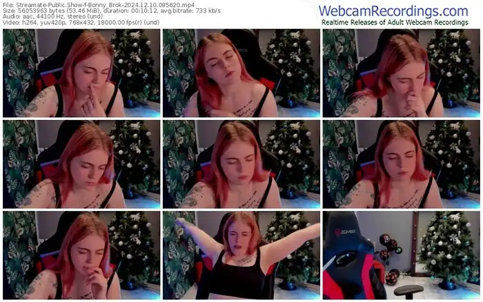2024/12/10/streamate-bonny_brok-08-56-20