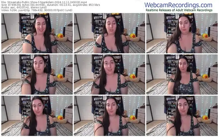 2024/12/11/streamate-spankdani-04-30-30