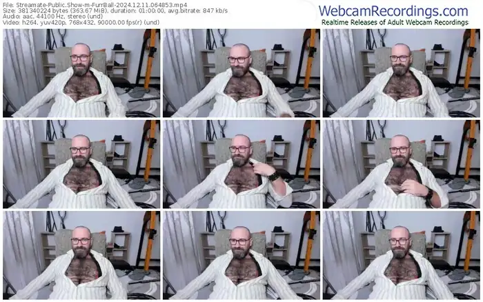 2024/12/11/streamate-furrball-06-48-53