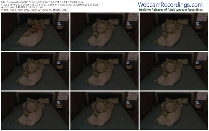 2024/12/14/streamate-cloudiex33-02-31-04