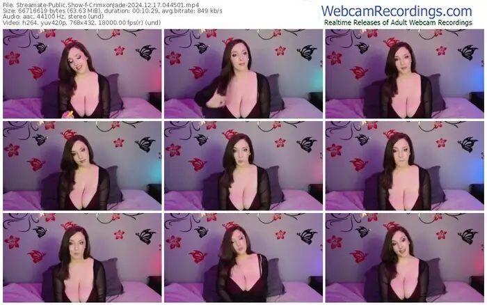 2024/12/17/streamate-crimxonjade-04-45-01