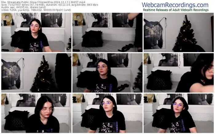 2024/12/17/streamate-noreendia-13-06-57