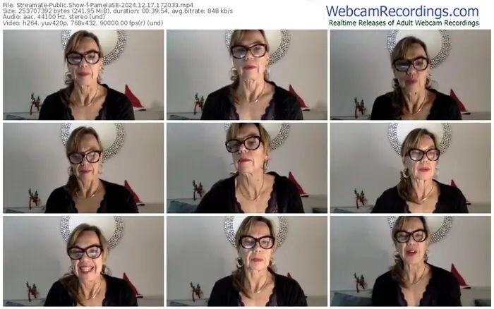 2024/12/17/streamate-pamelase-17-20-33