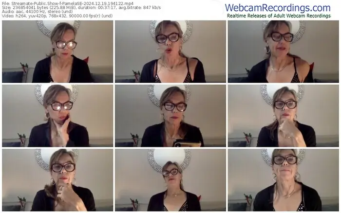 2024/12/19/streamate-pamelase-19-41-22