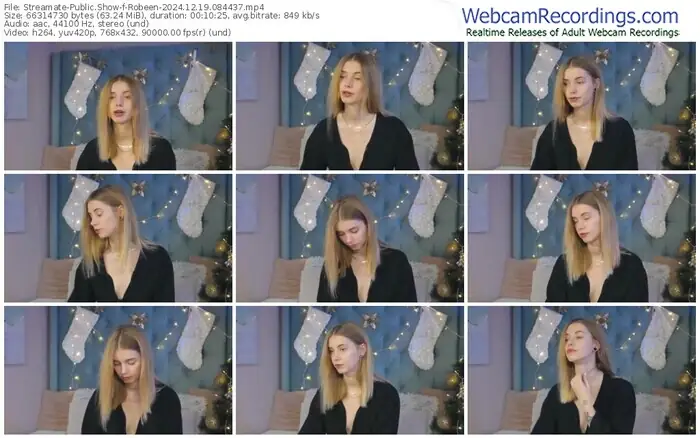 2024/12/19/streamate-robeen-08-44-37