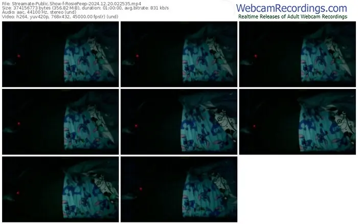 2024/12/20/streamate-rosiepeep-02-25-35