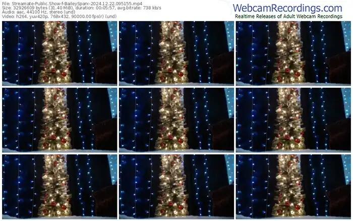 2024/12/22/streamate-baileysparx-09-51-55