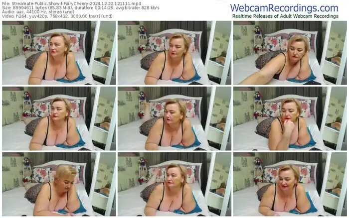 2024/12/22/streamate-fairycheery-12-11-11