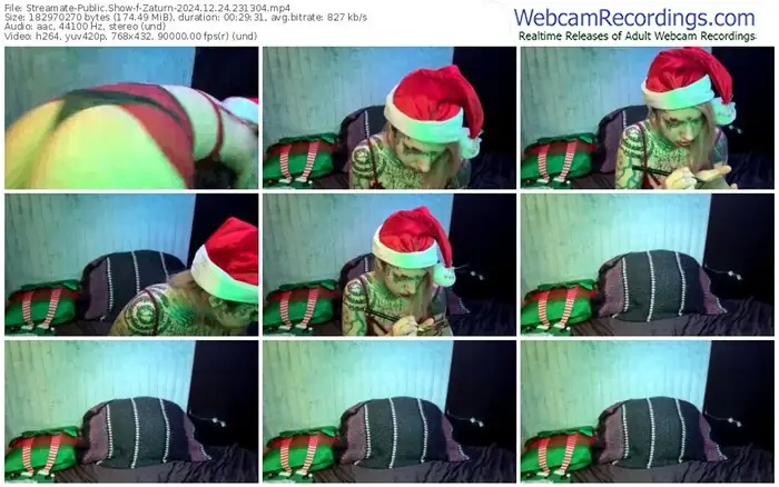 2024/12/24/streamate-zaturn-23-13-04