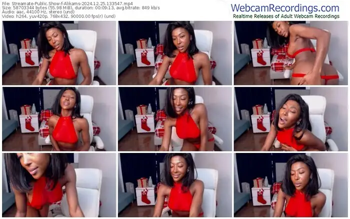 2024/12/25/streamate-alikams-13-35-47