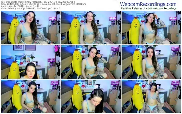 2024/12/25/streamate-hannahmolly-22-31-08