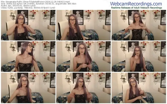 2024/12/26/streamate-dakotablissxo-04-04-13