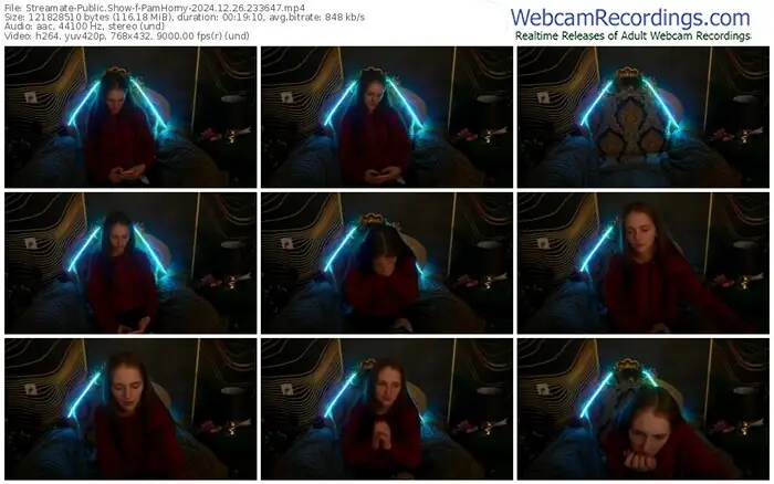 2024/12/26/streamate-pamhorny-23-36-47
