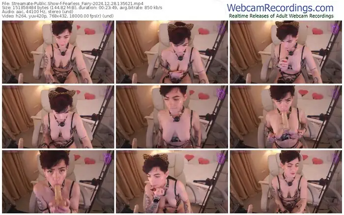 2024/12/28/streamate-fearless_fairy-13-56-21