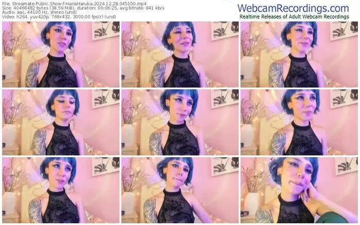 2024/12/28/streamate-hanaharuka-04-51-00