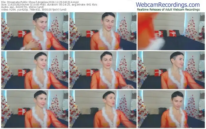 2024/12/29/streamate-angelea-04-13-14