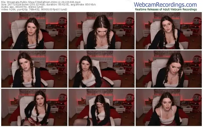 2024/12/29/streamate-stellafrost-22-16-06