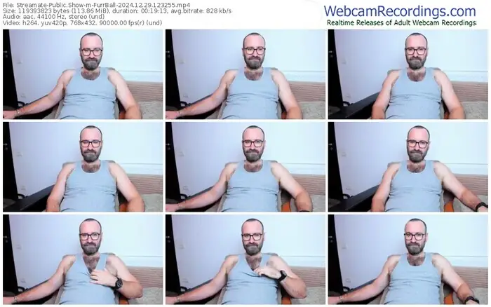 2024/12/29/streamate-furrball-12-32-55