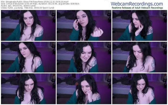 2024/12/31/streamate-willowxrose-00-31-20