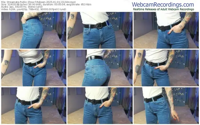 2025/01/03/streamate-robeen-13-19-44