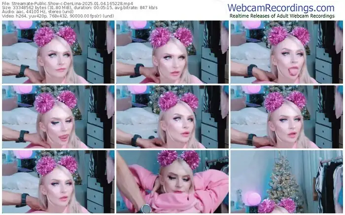 2025/01/04/streamate-denlina-16-52-28