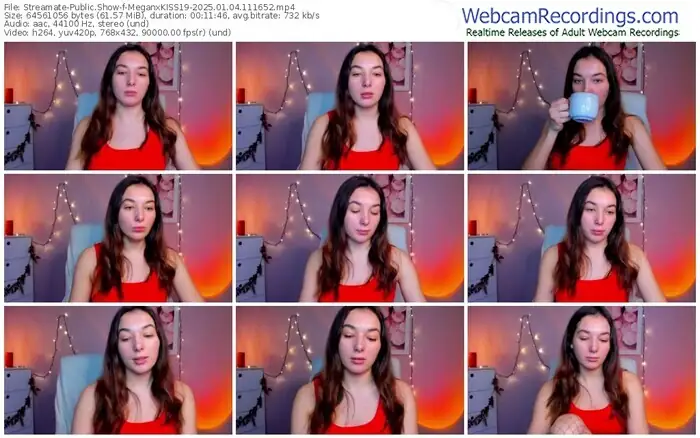 2025/01/04/streamate-meganxkiss19-11-16-52