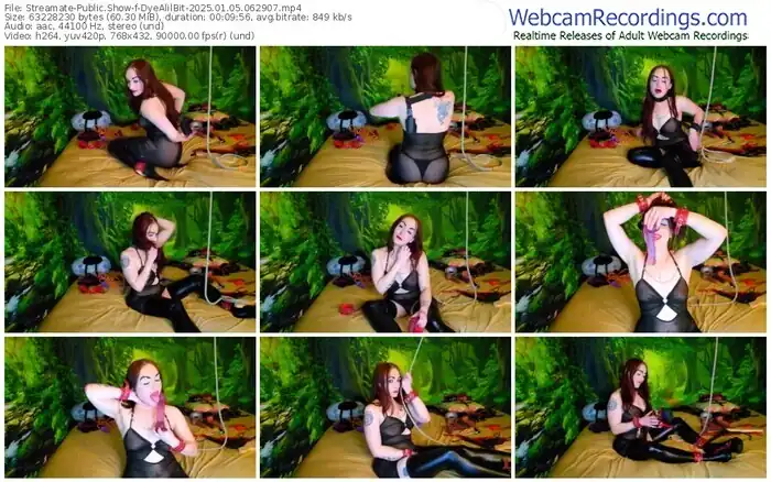 2025/01/05/streamate-dyealilbit-06-29-07