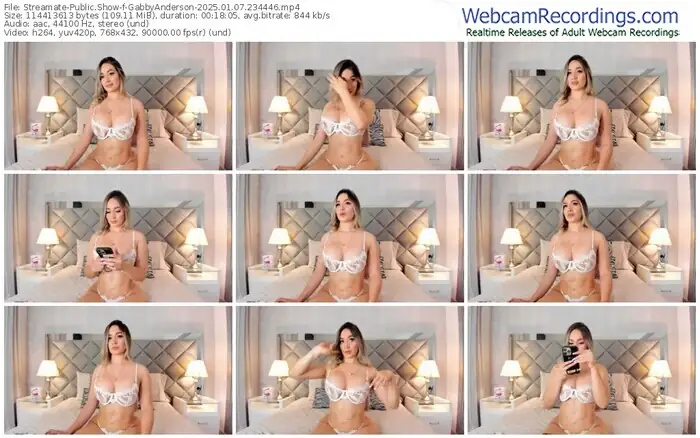 2025/01/07/streamate-gabbyanderson-23-44-46