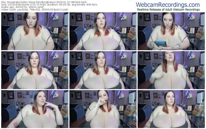 2025/01/07/streamate-winkingdaisys-08-50-44