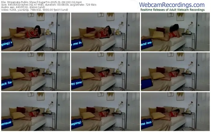 2025/01/08/streamate-sugartin-19-11-32