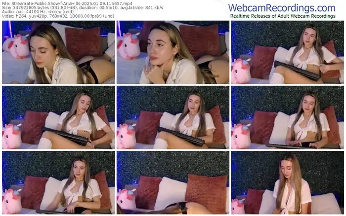 2025/01/09/streamate-ariahills-11-56-57