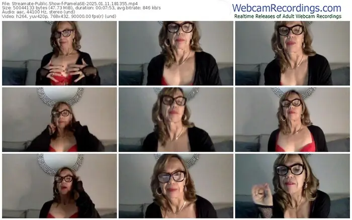 2025/01/11/streamate-pamelase-18-13-55