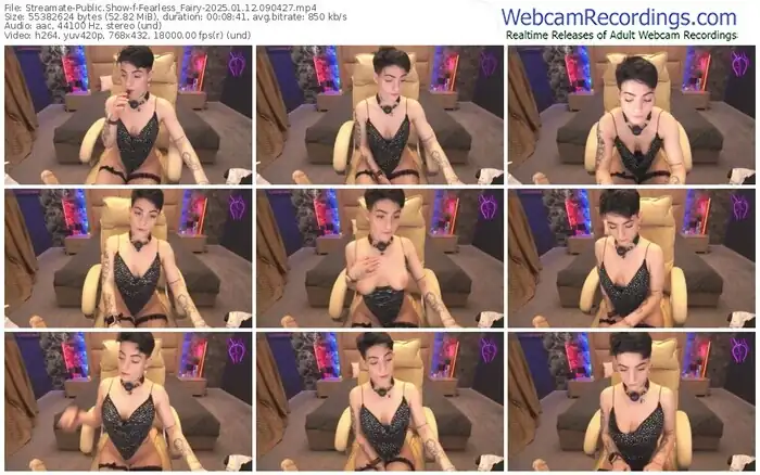 2025/01/12/streamate-fearless_fairy-09-04-27