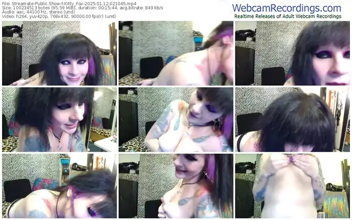 2025/01/12/streamate-kitty_fox-02-10-45