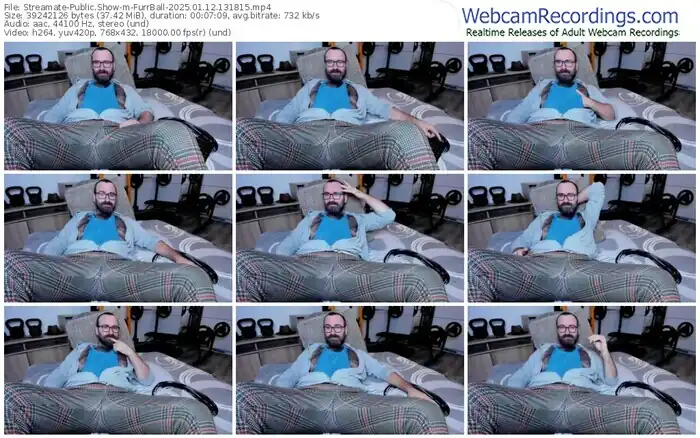 2025/01/12/streamate-furrball-13-18-15