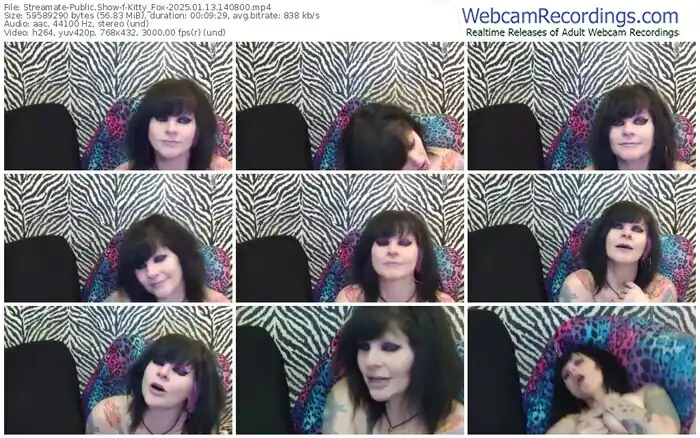2025/01/13/streamate-kitty_fox-14-08-00