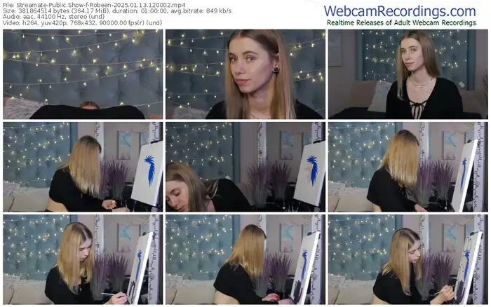 2025/01/13/streamate-robeen-12-00-02