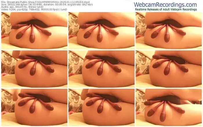 2025/01/13/streamate-squirterforyou-16-52-16