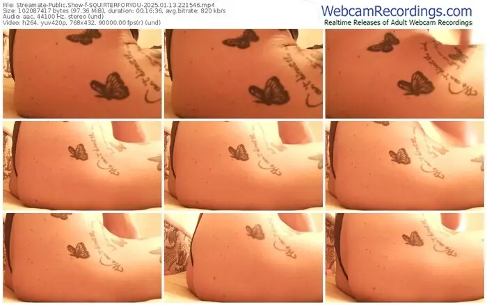 2025/01/13/streamate-squirterforyou-22-15-46