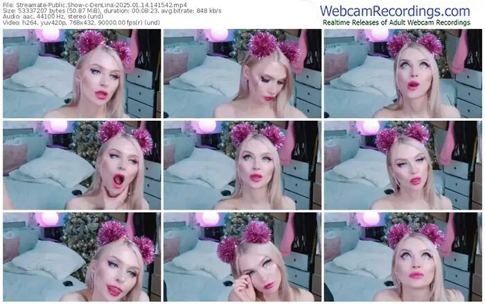 2025/01/14/streamate-denlina-14-15-42