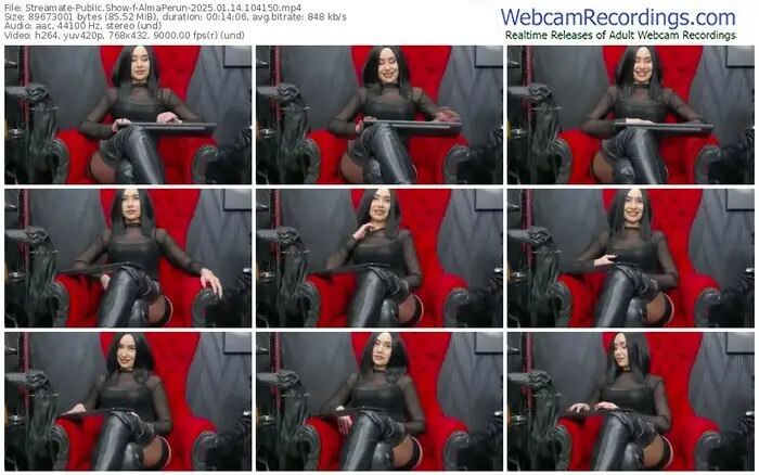 2025/01/14/streamate-almaperun-10-41-50