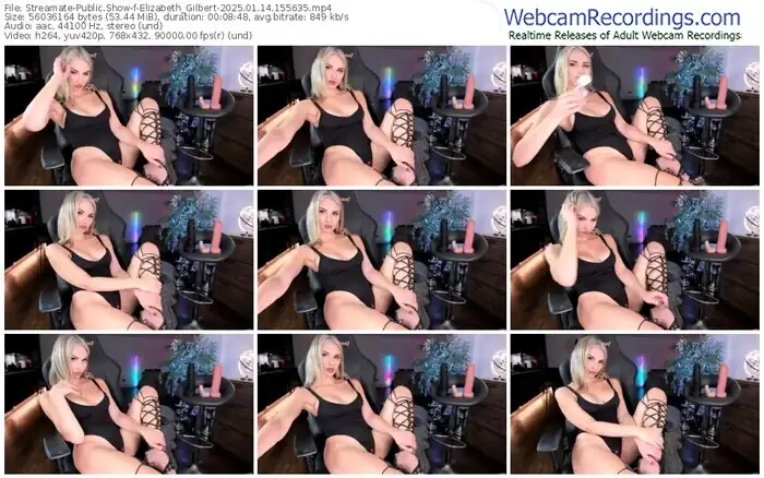 2025/01/14/streamate-elizabeth_gilbert-15-56-35