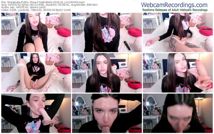 2025/01/14/streamate-sashanels-03-54-45